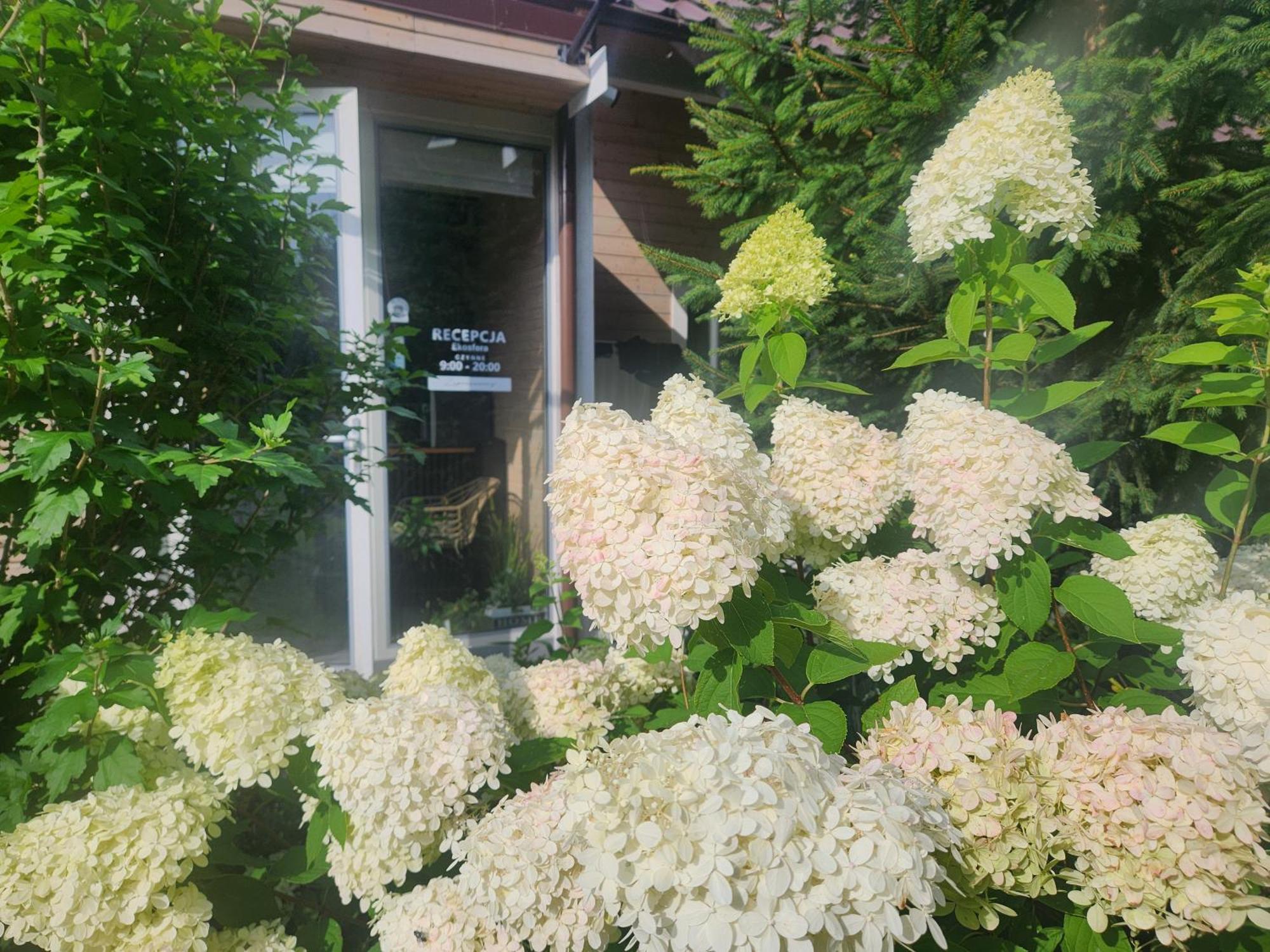 Ekosfera Pilawa Borne Sulinowo Exterior foto